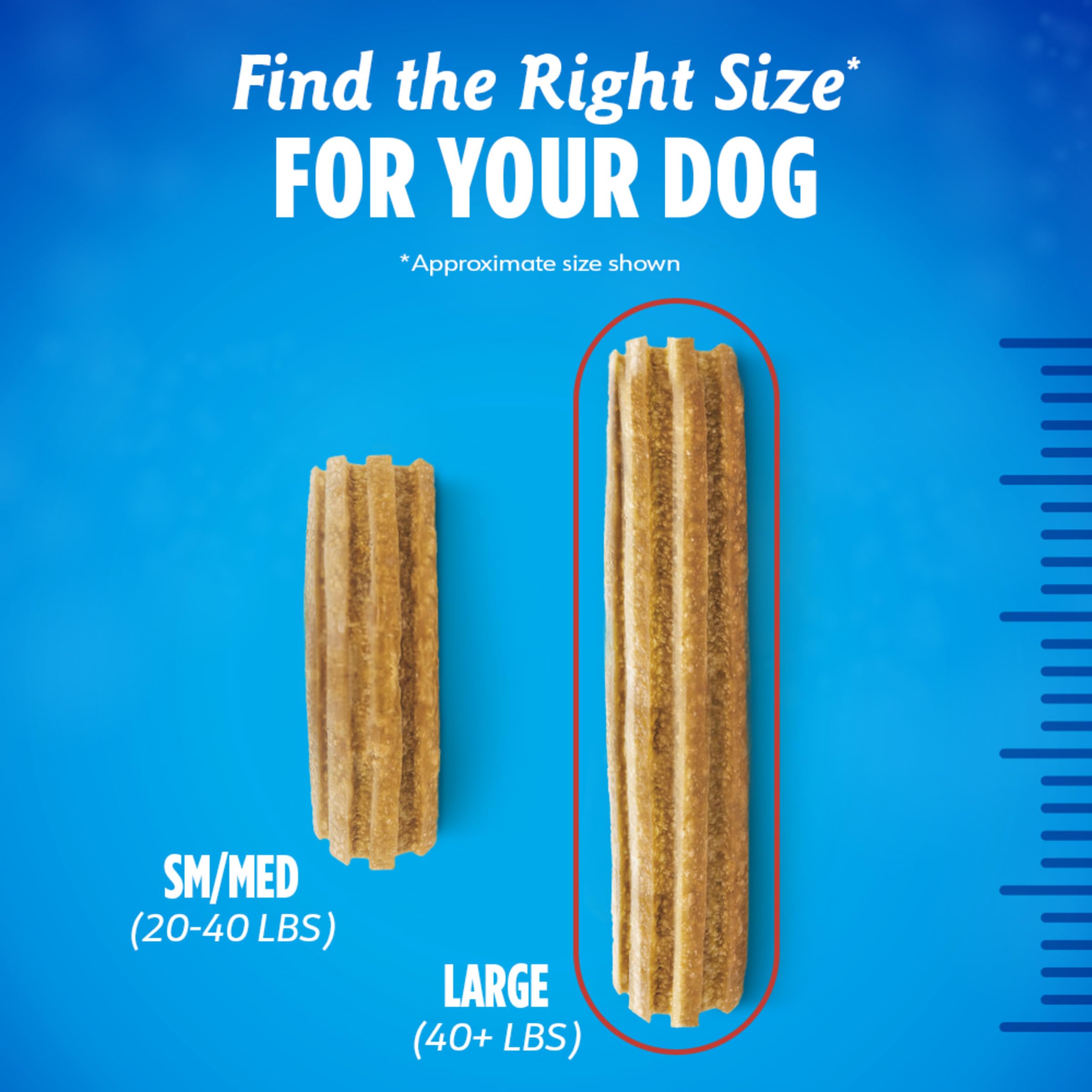Dentalife chew ready to freshen breath and support routine care.