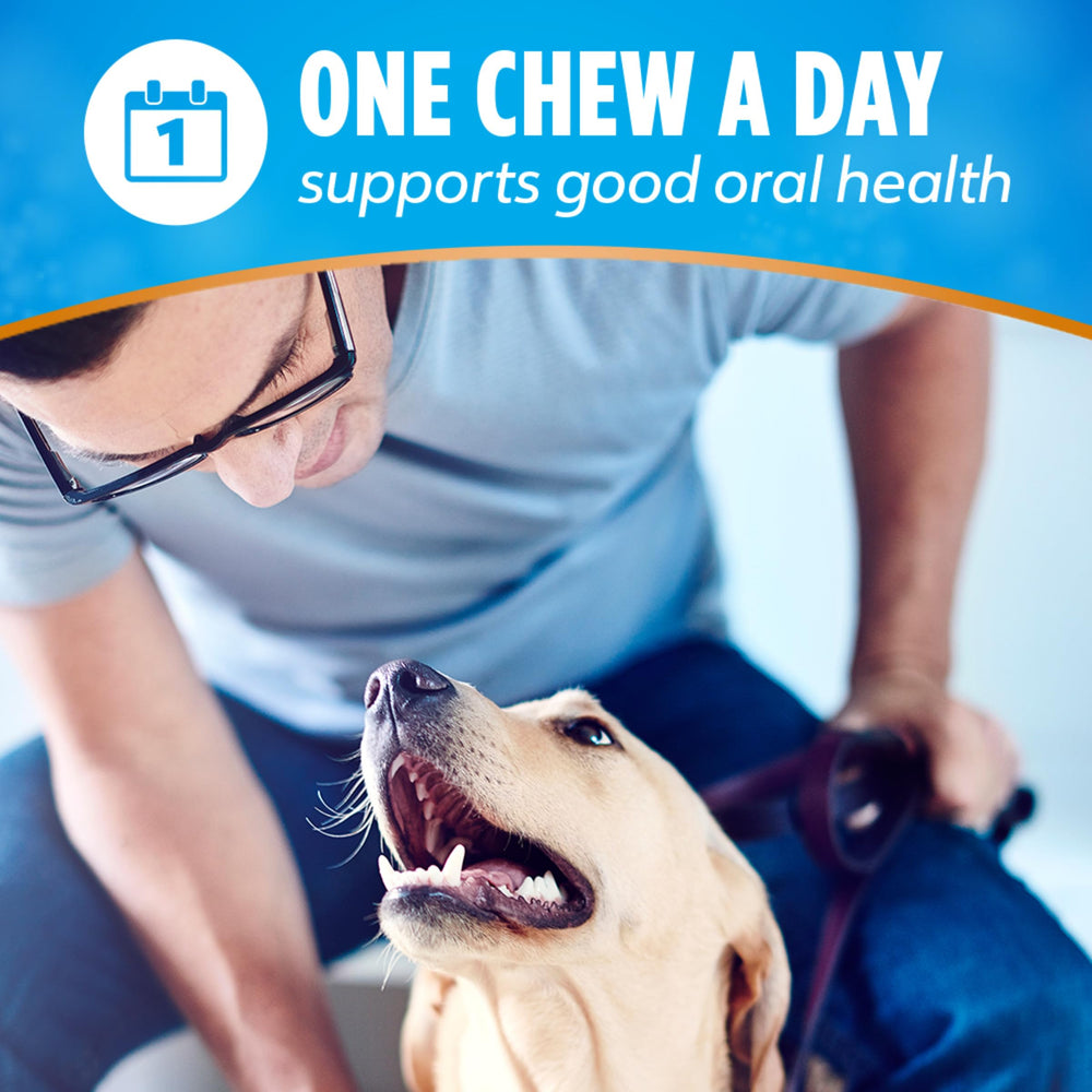 Dentalife large-dog friendly chew size for 40 lb+ dogs.