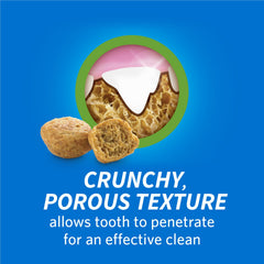 Purina DentaLife porous-texture close-up shows crunchy bite supporting dental care