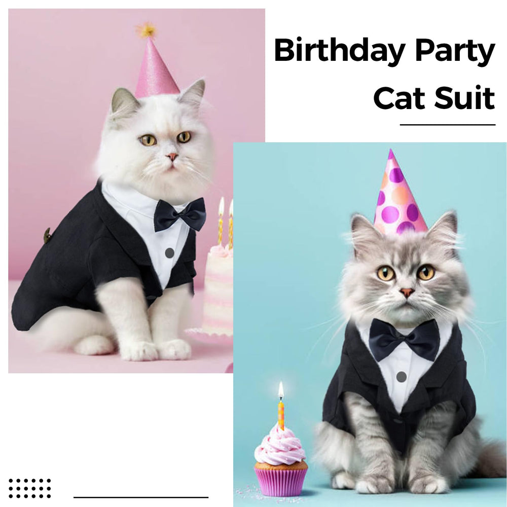 DENTRUN cat tuxedo back view shows bow knot and sleek fabric