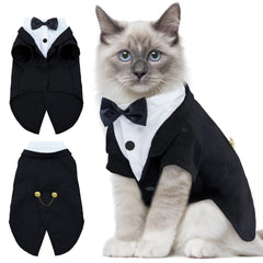 DENTRUN cat tuxedo front view with bow tie for hairless cats