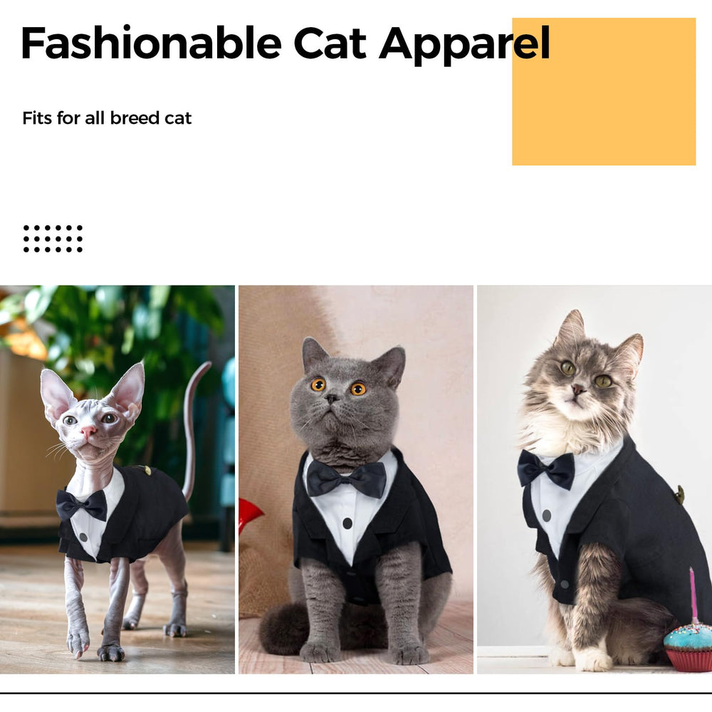 DENTRUN outfit on cat during photoshoot for portraits