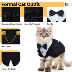 DENTRUN Sphynx cat wearing outfit at a wedding