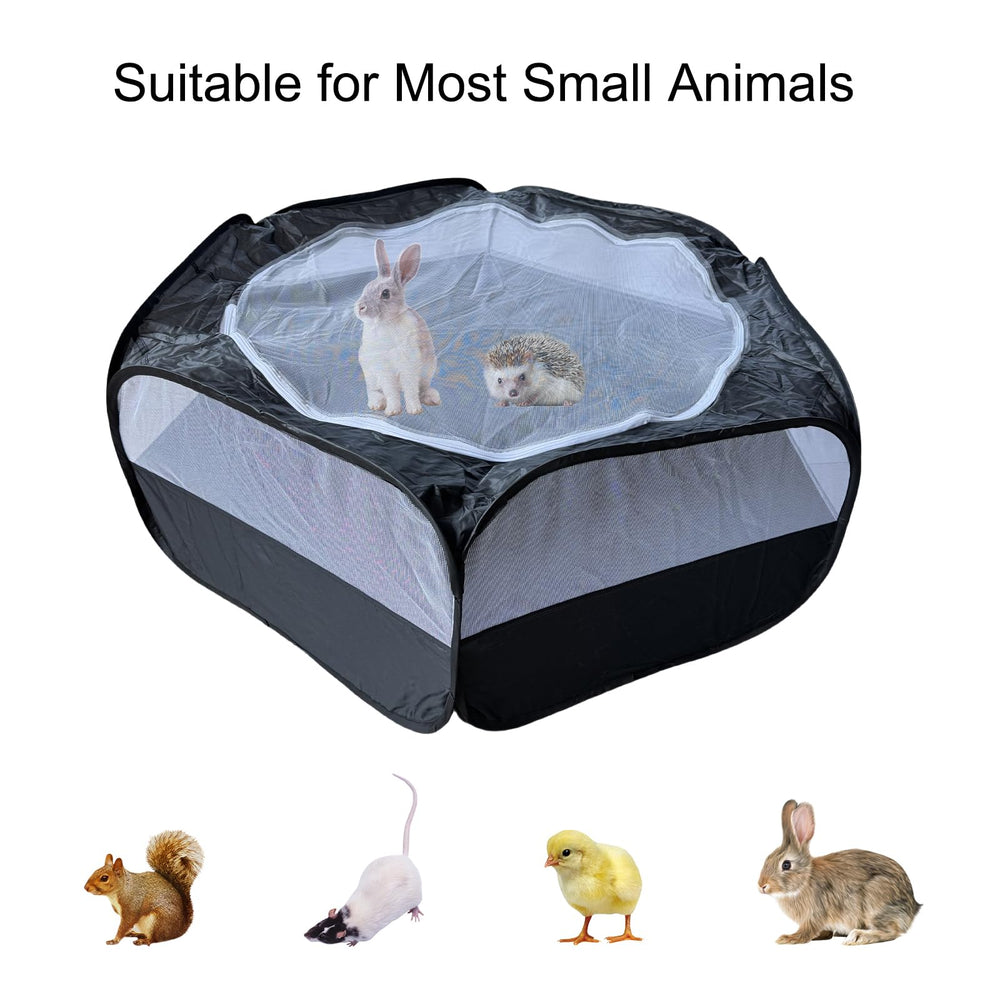 Denyskwin hexagon-folded-frame for easy transport and compact storage.