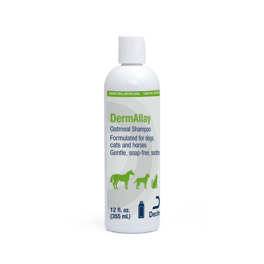 DermAllay Oatmeal Shampoo bottle for gentle cleansing and sensitive skin care.