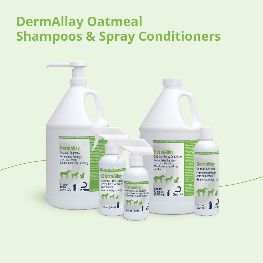 DermAllay Oatmeal Shampoo cat care bath for itch relief.