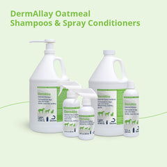 DermAllay Oatmeal Shampoo cat care bath for itch relief.