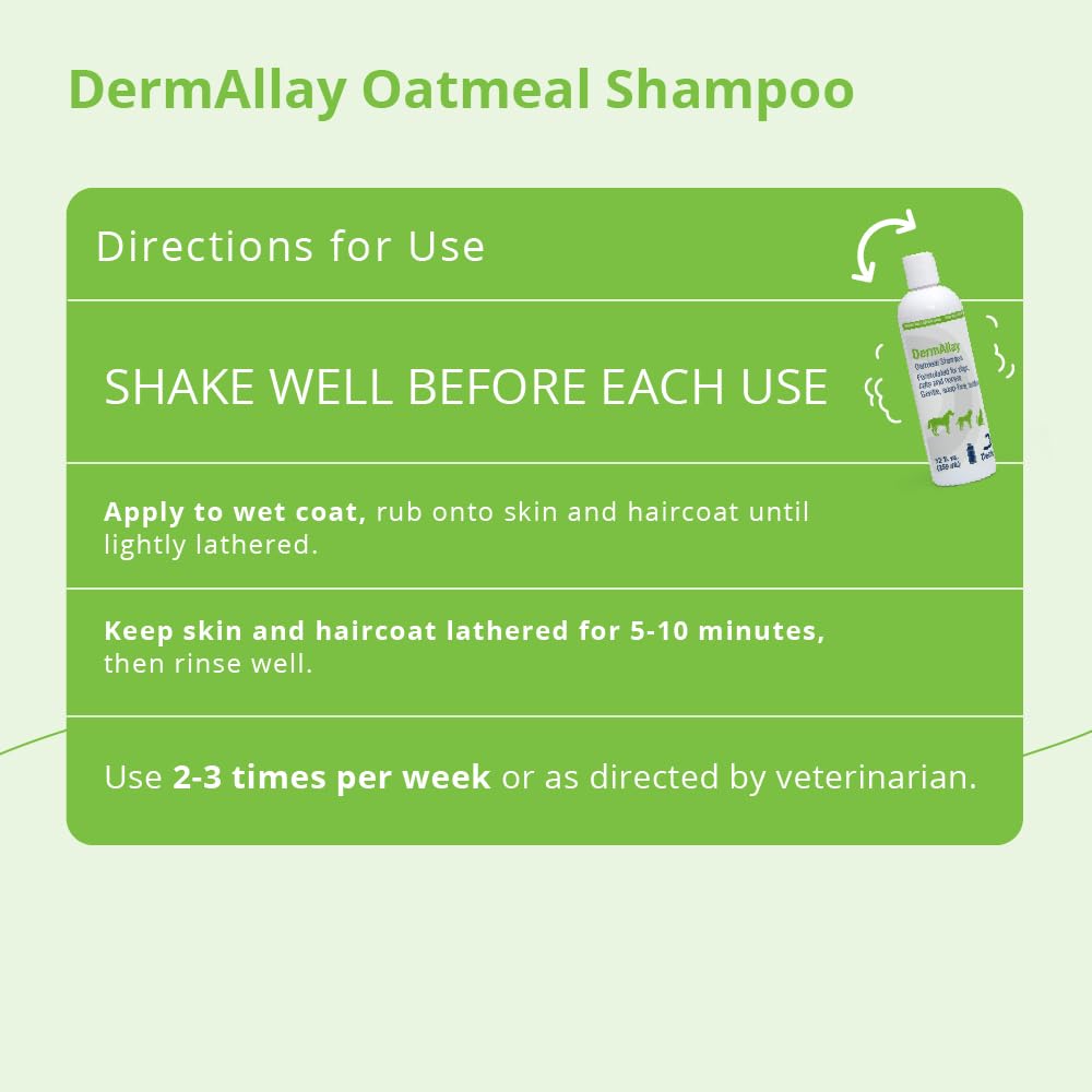DermAllay Oatmeal Shampoo dog bath scene with calm, clean coat.