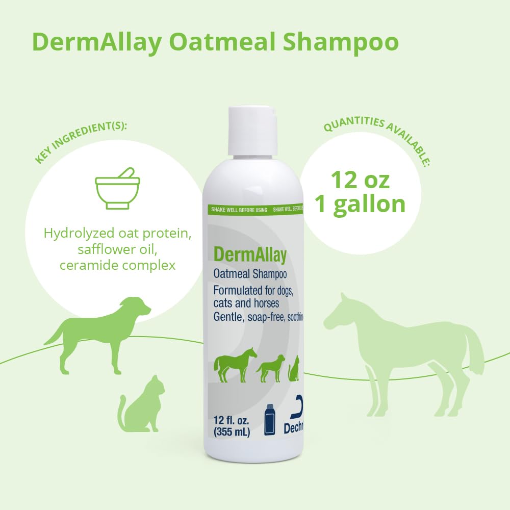DermAllay Oatmeal Shampoo foam lather ready for a soothing pet bath.