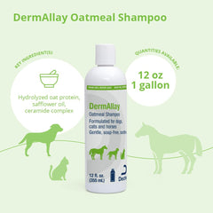 DermAllay Oatmeal Shampoo foam lather ready for a soothing pet bath.