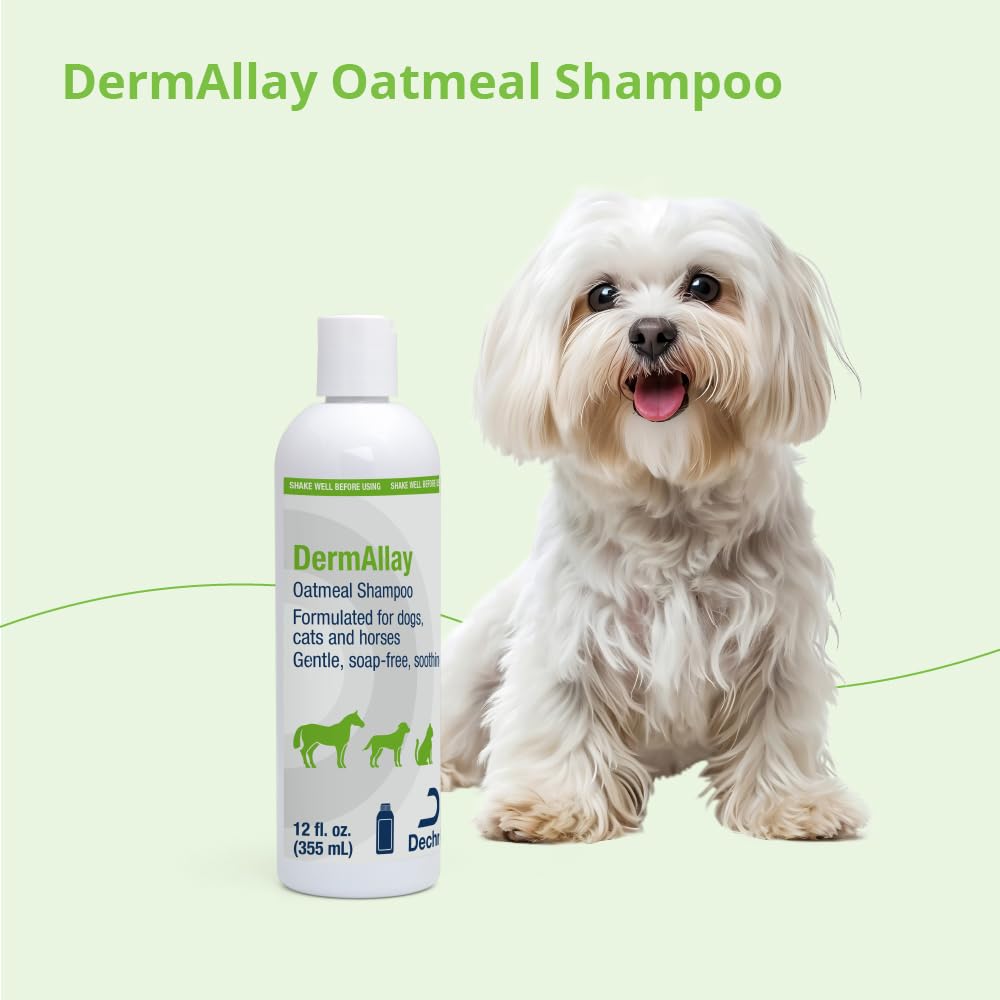 DermAllay Oatmeal Shampoo label emphasizes soap-free and moisturizing properties.