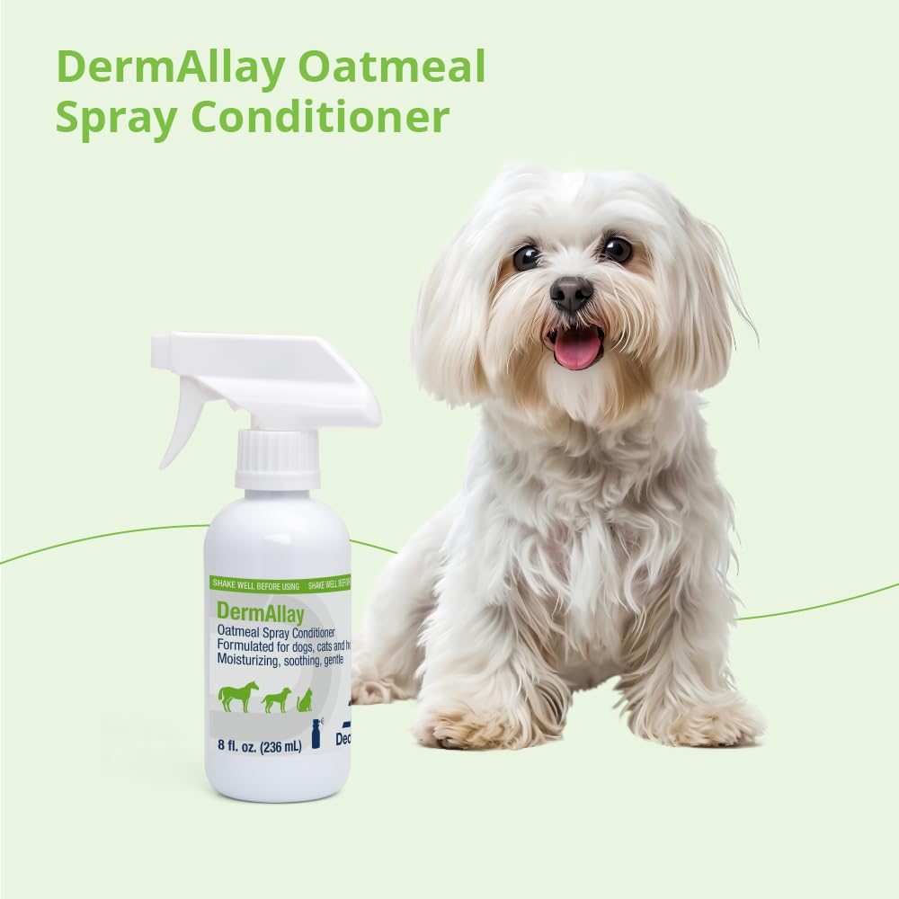 DermAllay Oatmeal Spray Conditioner applied to horse coat after grooming to condition.