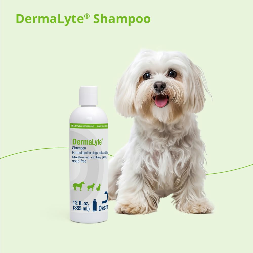 DermaLyte Shampoo enhances coat shine without harsh soap