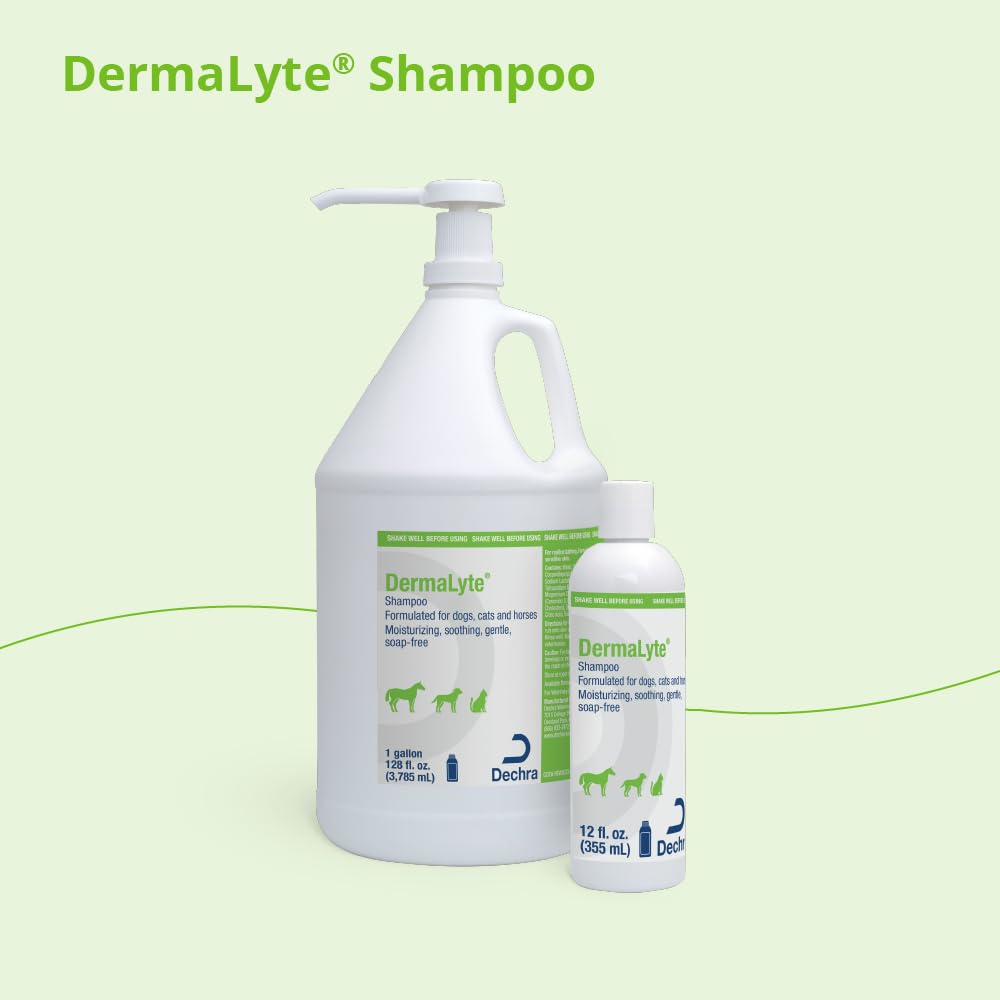 DermaLyte Shampoo being applied to a dog for normal or sensitive skin