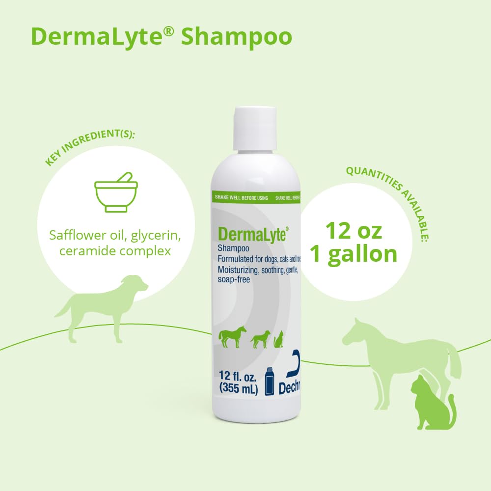 DermaLyte Shampoo lather close-up for gentle cleansing on dry coats
