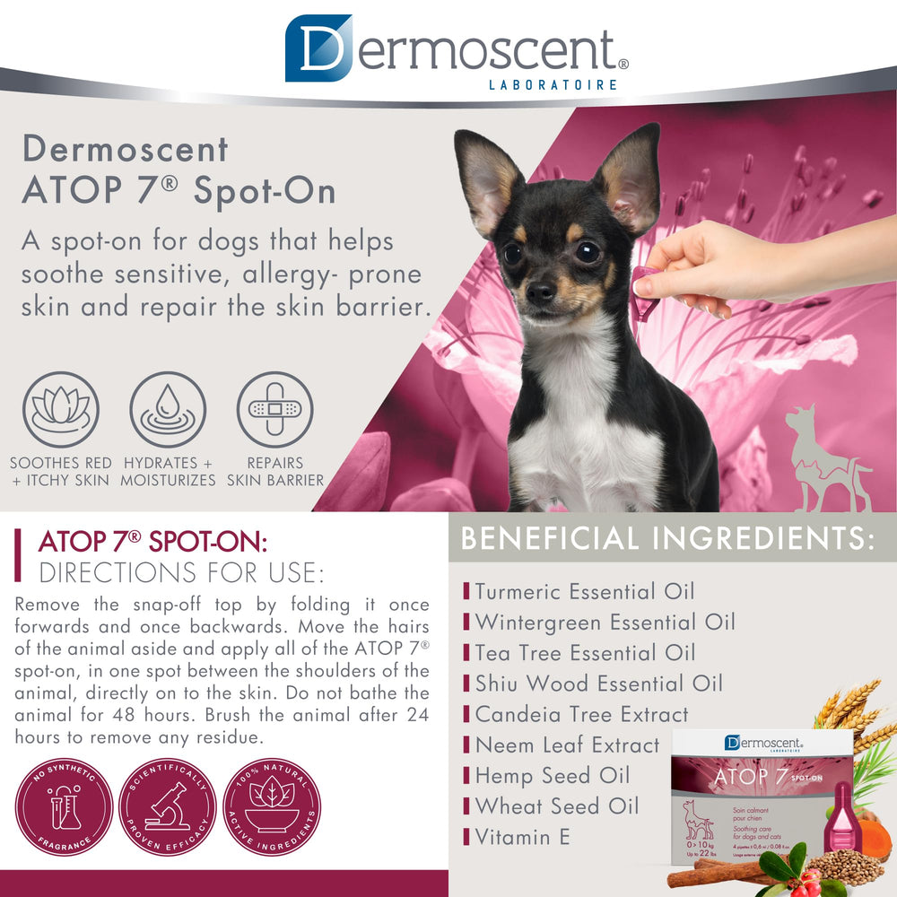 Dermoscent ATOP 7 spot-on cat application for convenient use.