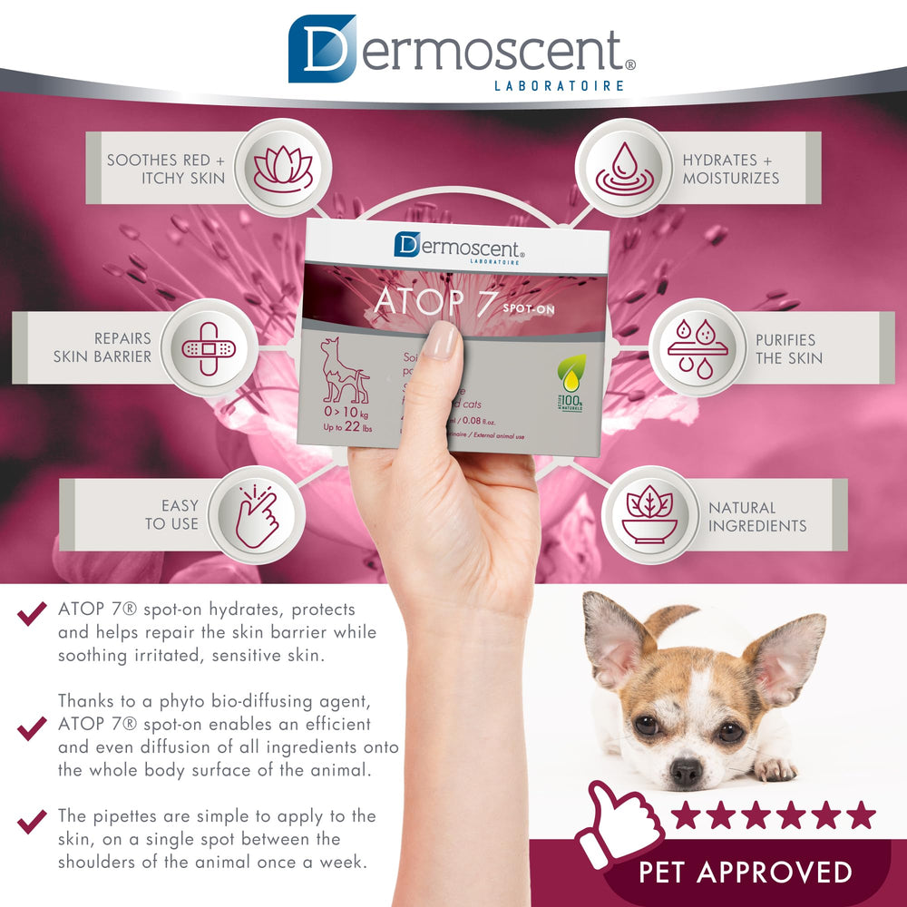 Dermoscent ATOP 7 spot-on dropper closeup shows precise dosage.