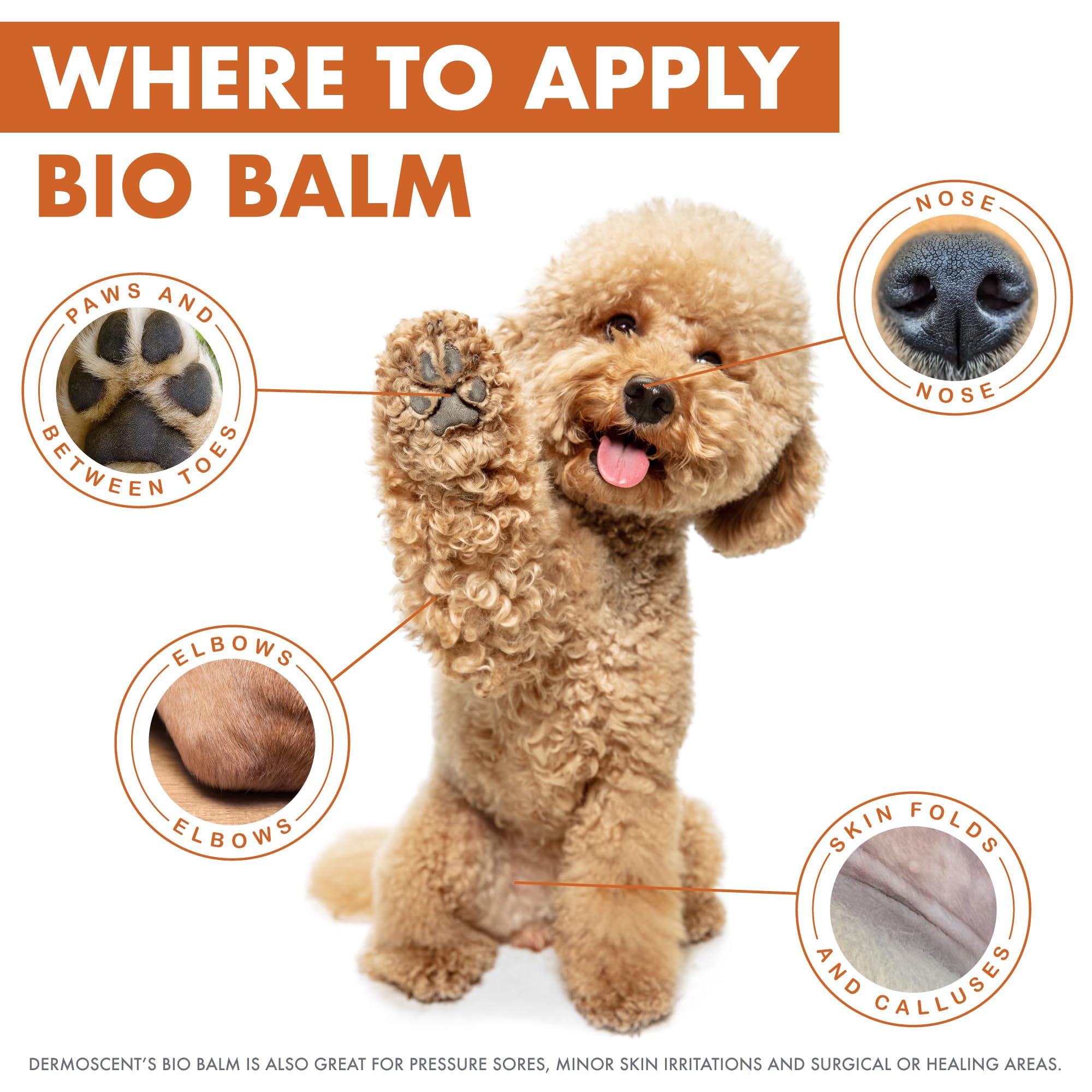 Dermoscent Bio Balm on elbows softens rough skin.