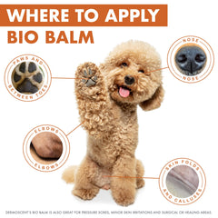 Dermoscent Bio Balm on elbows softens rough skin.