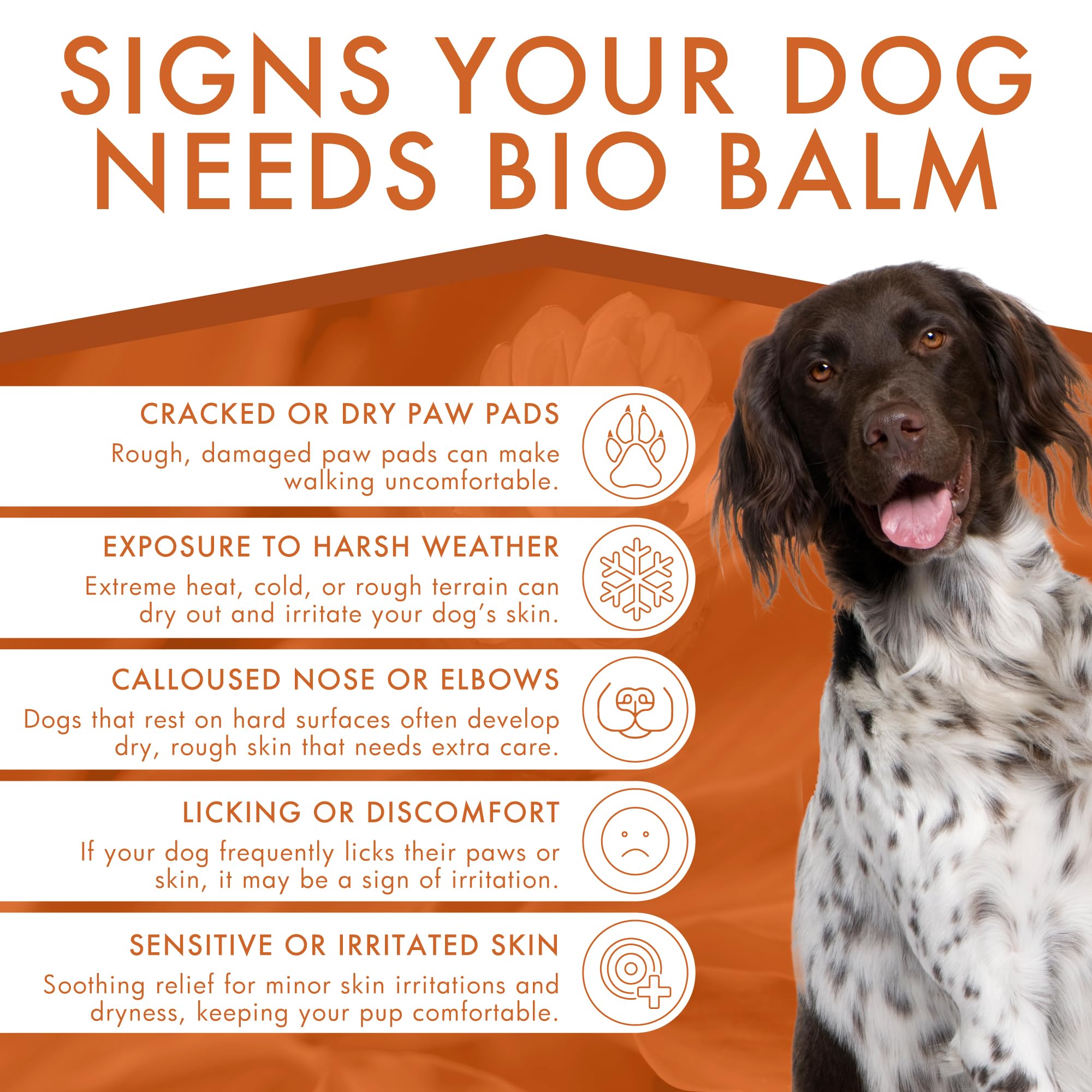 Dermoscent Bio Balm on a dry nose provides moisture.