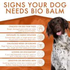 Dermoscent Bio Balm on a dry nose provides moisture.