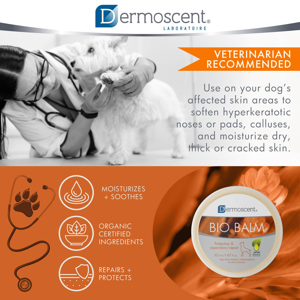 Creamy, rich texture of Dermoscent Bio Balm resembles paw butter.