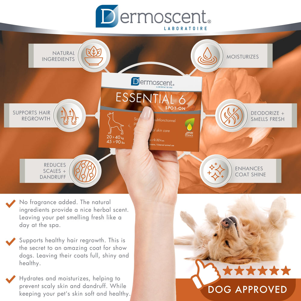 Dermoscent Essential 6 dog dandruff relief reduces flakes and itchiness.