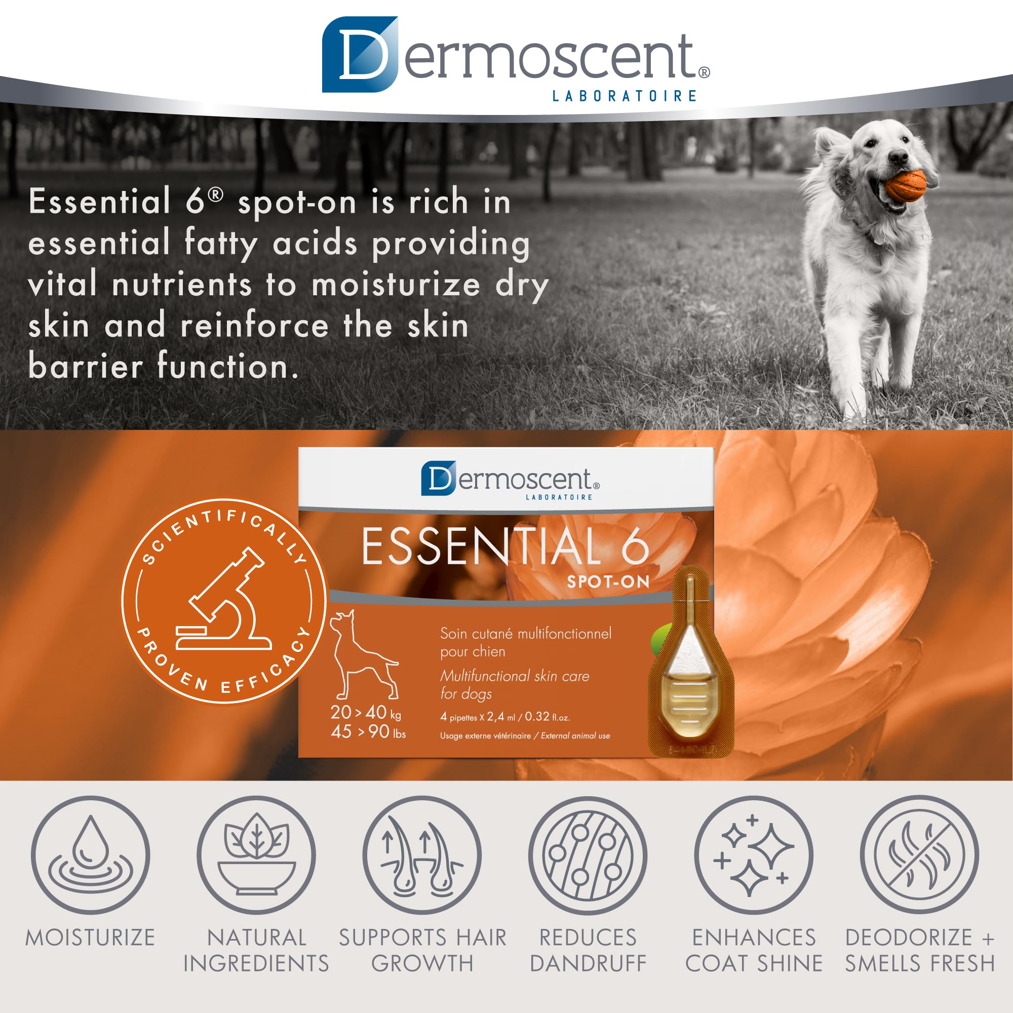 Dermoscent Essential 6 dog packaging with four pipettes ready for use.