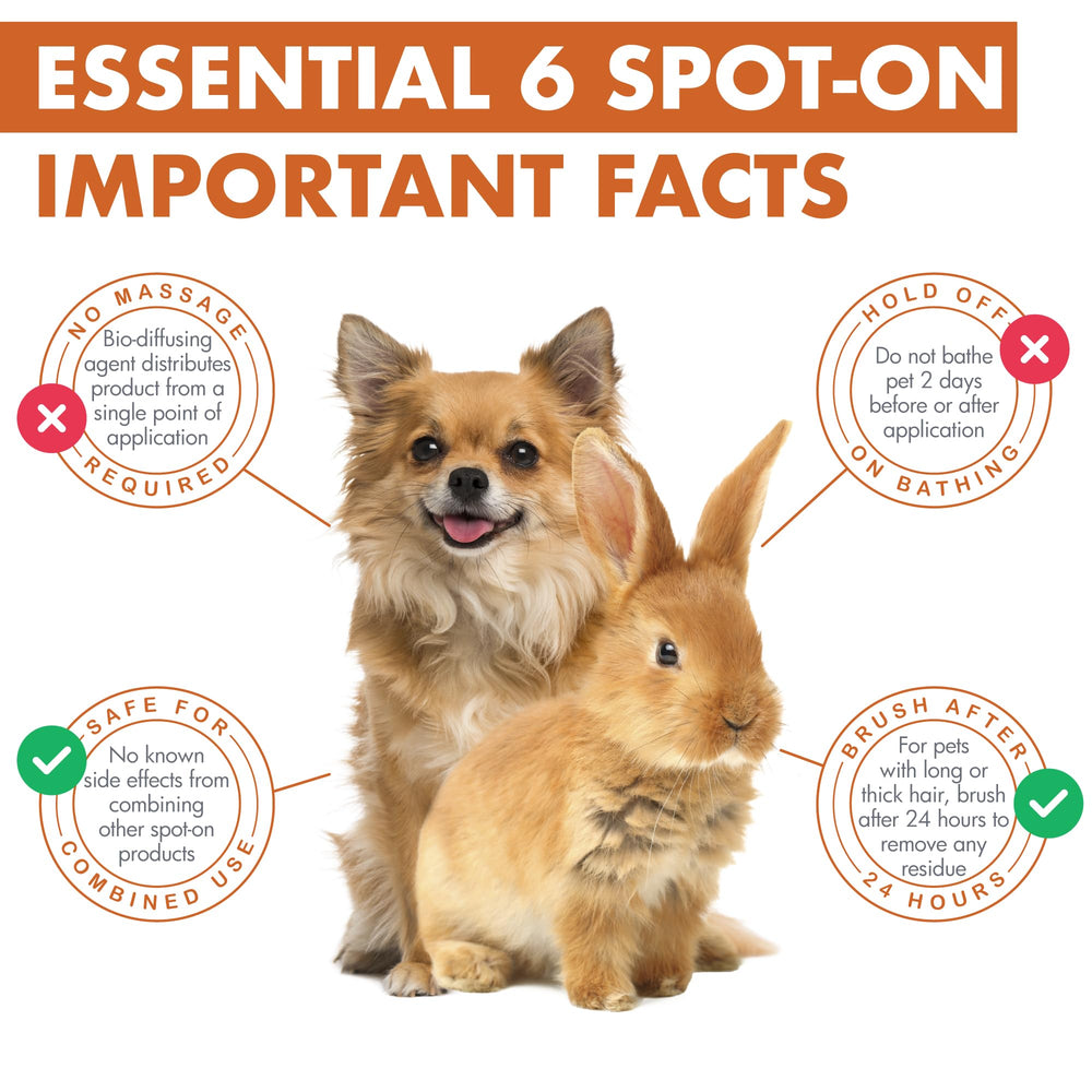 Dermoscent Essential 6 supports skin hydration and barrier function.