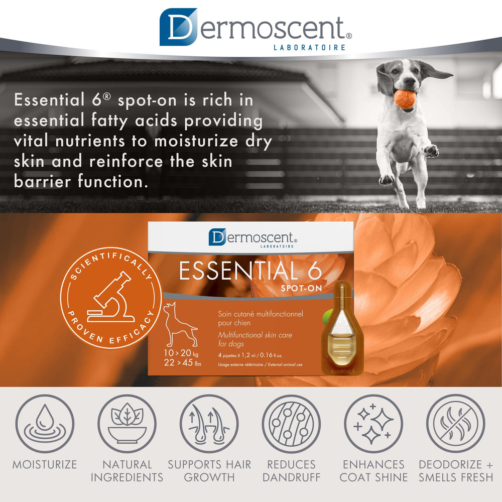Dermoscent Essential 6 spot-on supports skin and coat