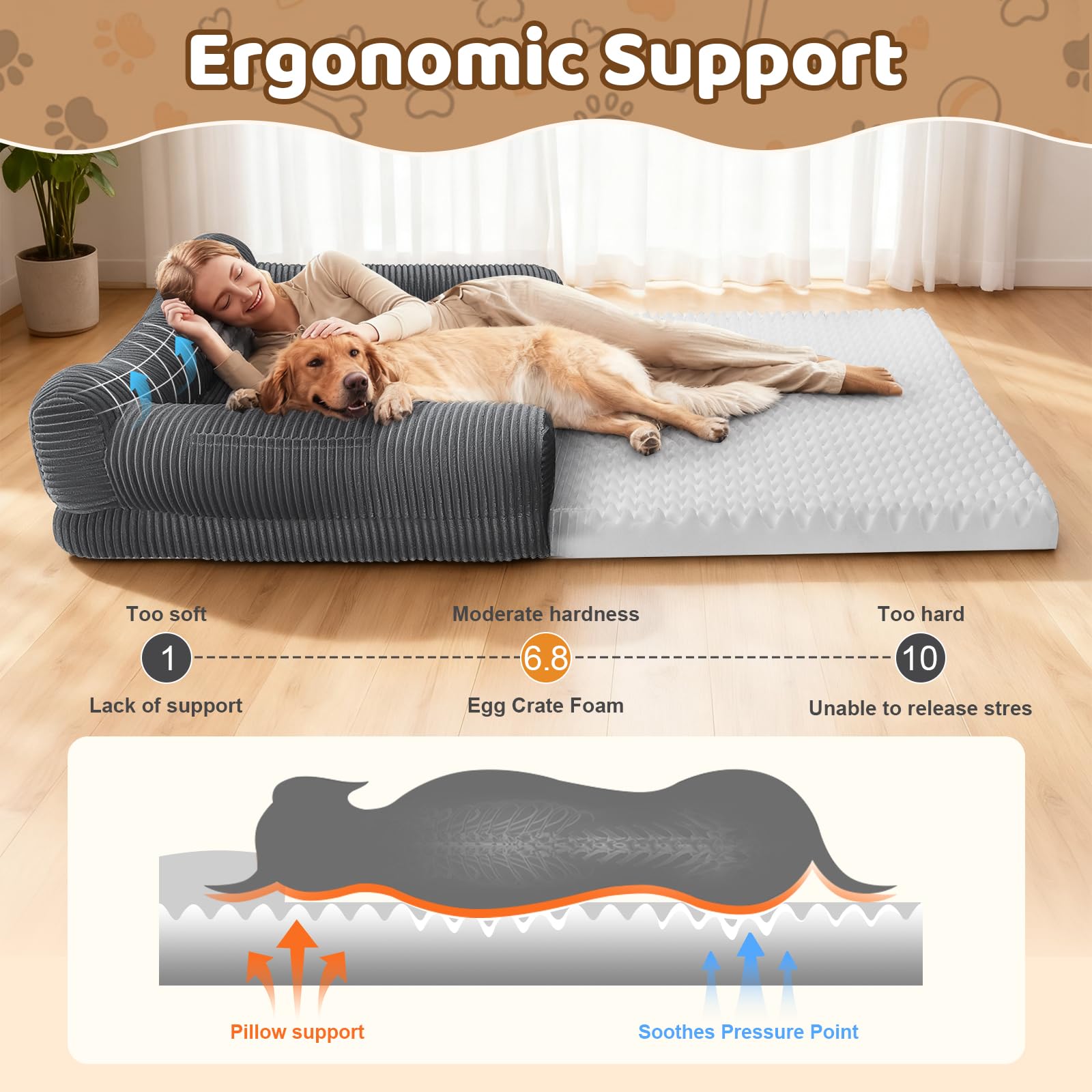 Dessports Foldable bed in living room demonstrates versatile comfort for family time