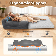 Dessports Foldable bed in living room demonstrates versatile comfort for family time