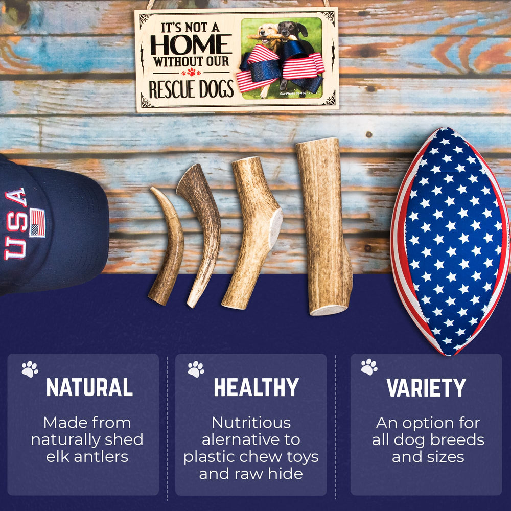 Devil Dog Elk Antler Jumbo supports teeth cleaning during chew