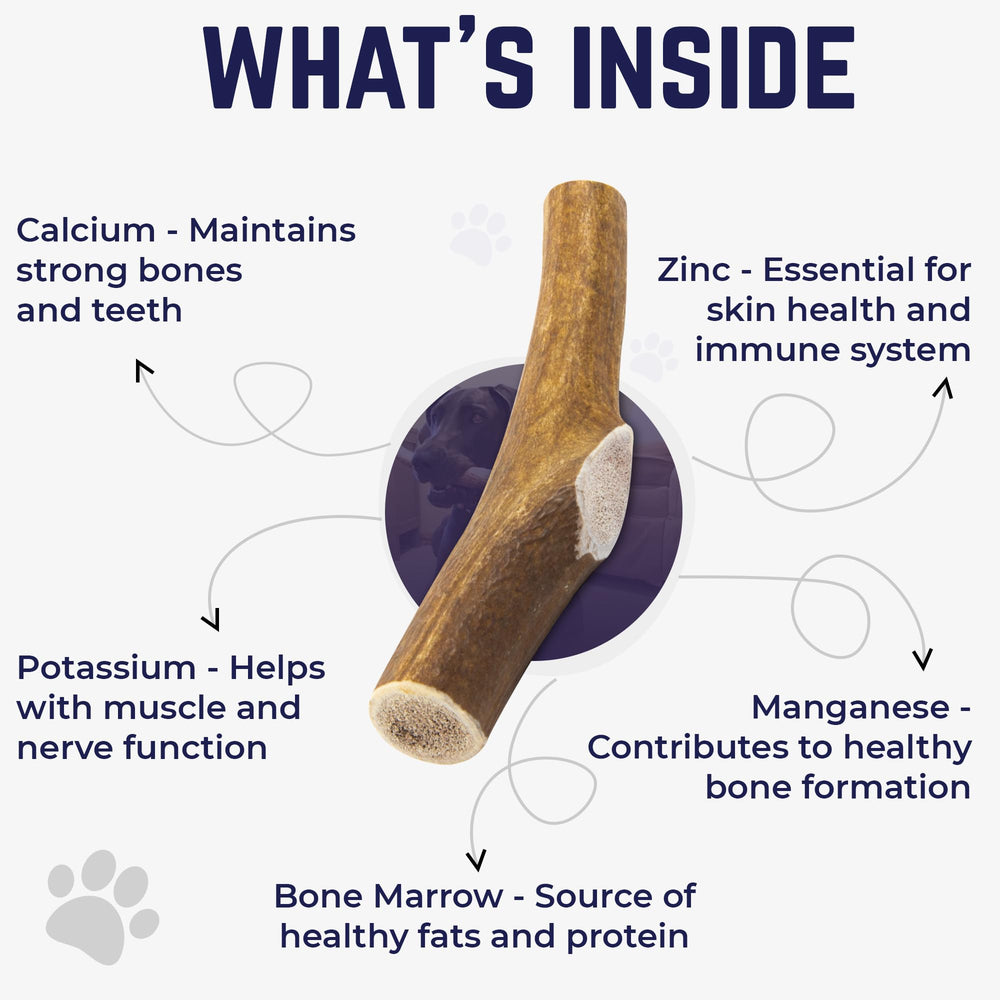 Calcium and minerals in Devil Dog Elk Antler chew.