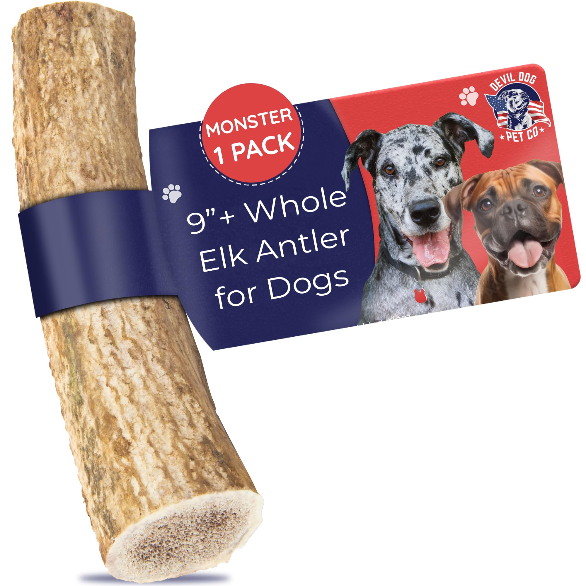 Devil Dog Elk Antler Monster 9-inch chew for durable, long-lasting sessions.