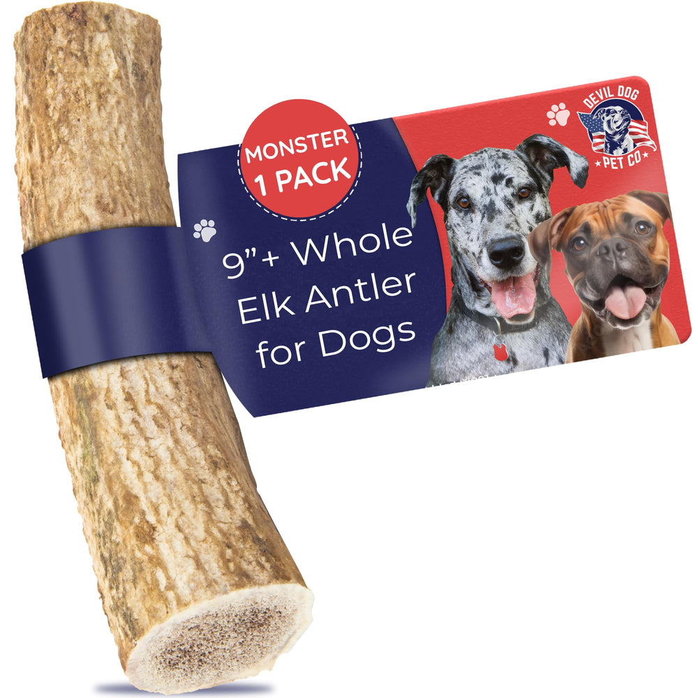 Devil Dog Elk Antler Monster 9-inch chew for durable, long-lasting sessions.