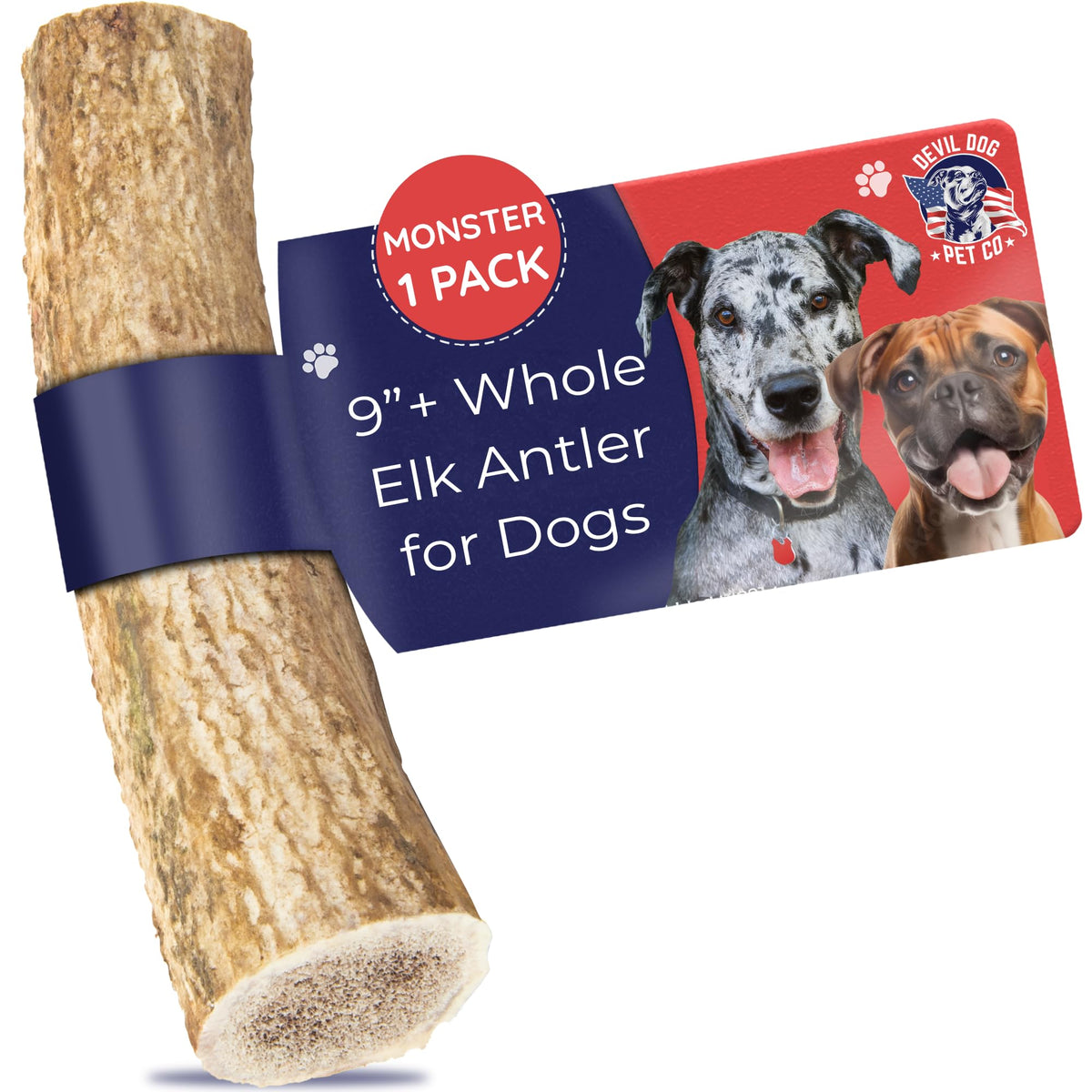 Devil Dog Elk Antler Monster 9-inch chew for durable, long-lasting sessions.