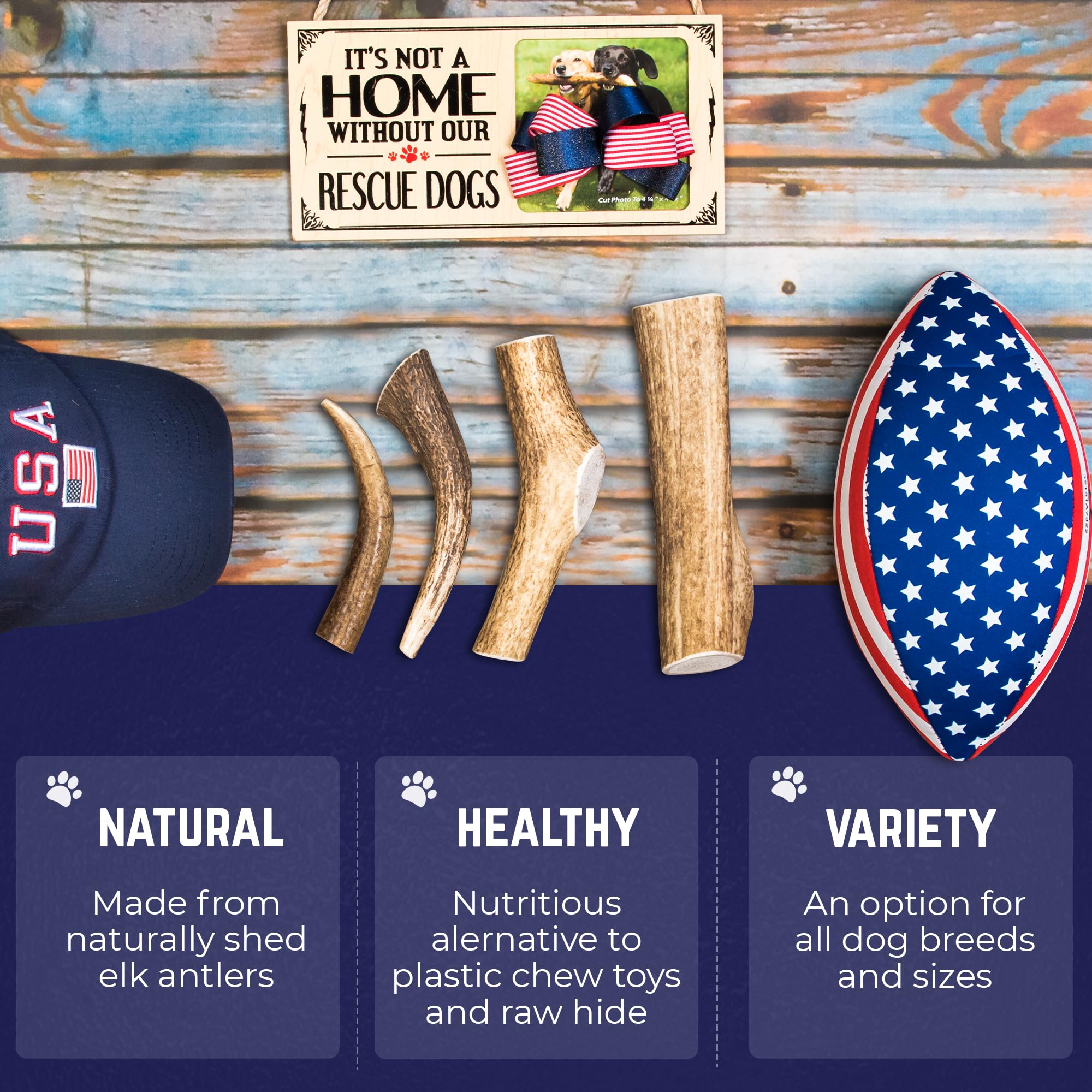 Devil Dog Elk Antler with sanded edges for smooth, safe chewing