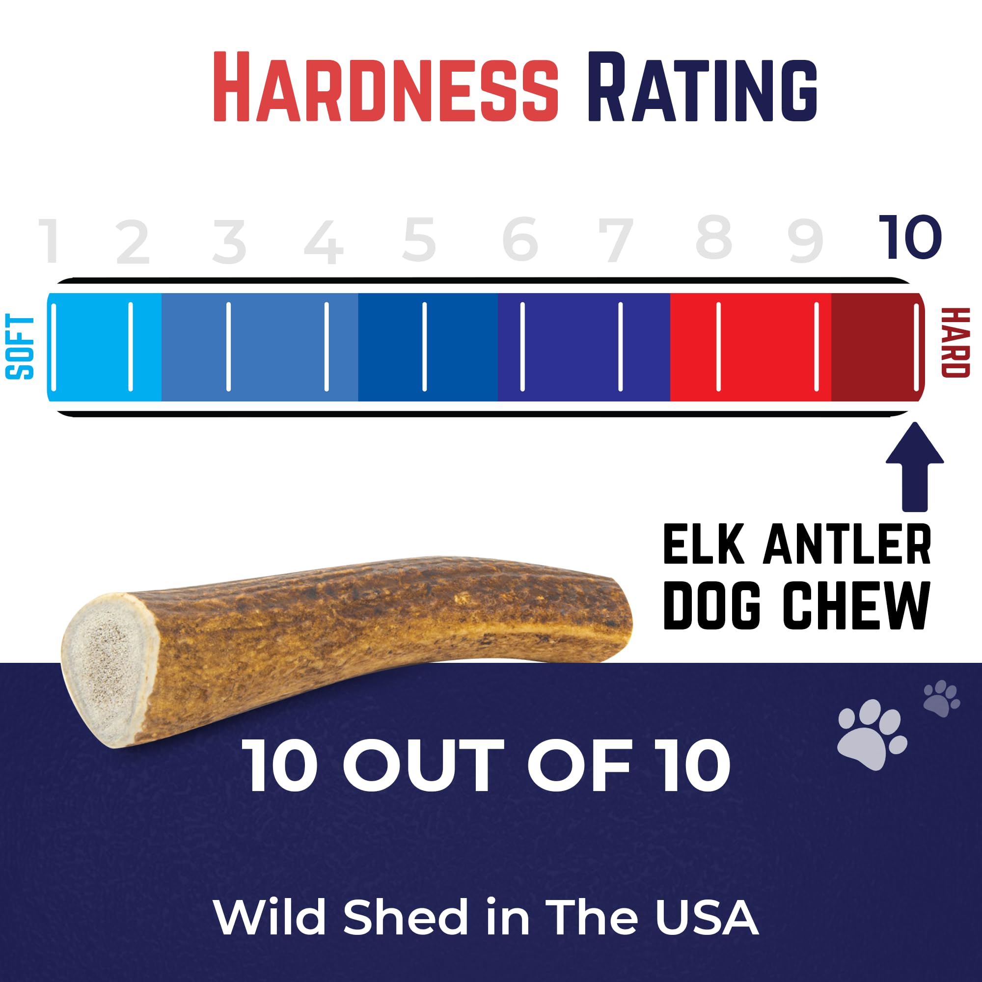 Devil Dog Elk Antler Teeth Cleaning: natural mineral content supports chewing health.