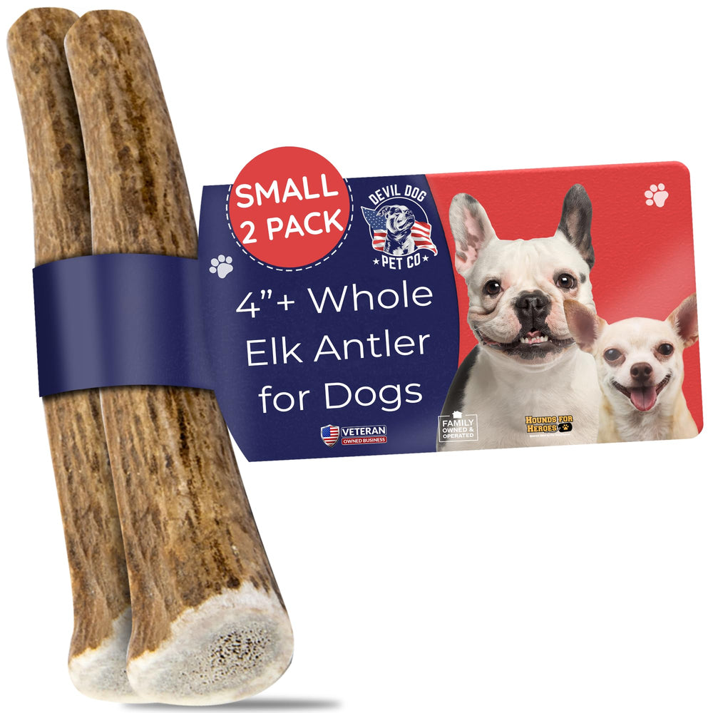Devil Dog Pet Co elk antlers two-pack in rotation for long-lasting chew.