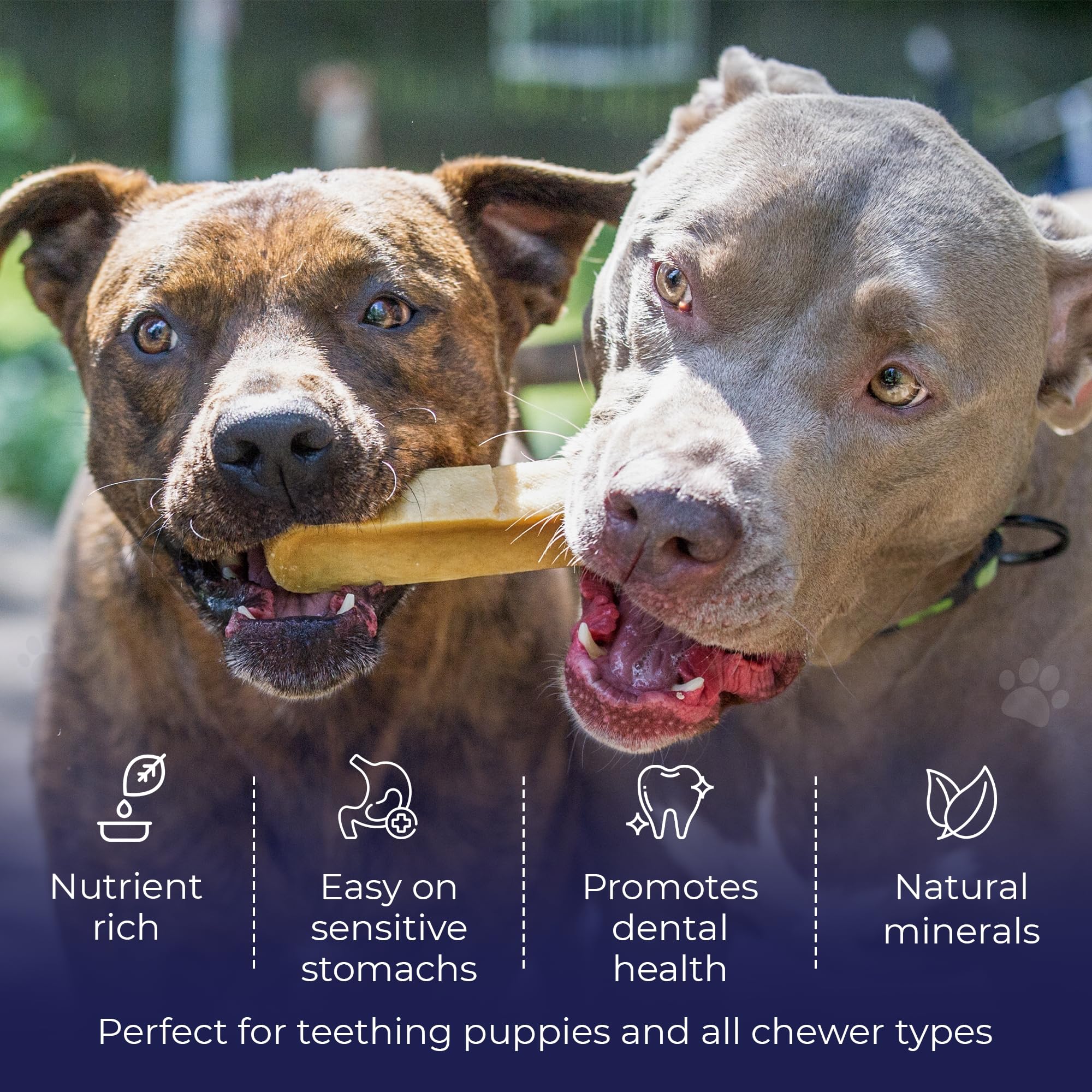 Devil Dog Pet Co large-breed chew closeup highlights dense texture for extended chewing