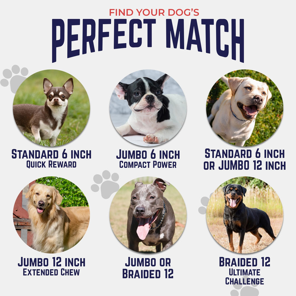 Devil Dog Pet Co multi-dog household enrichment with long-lasting chews.