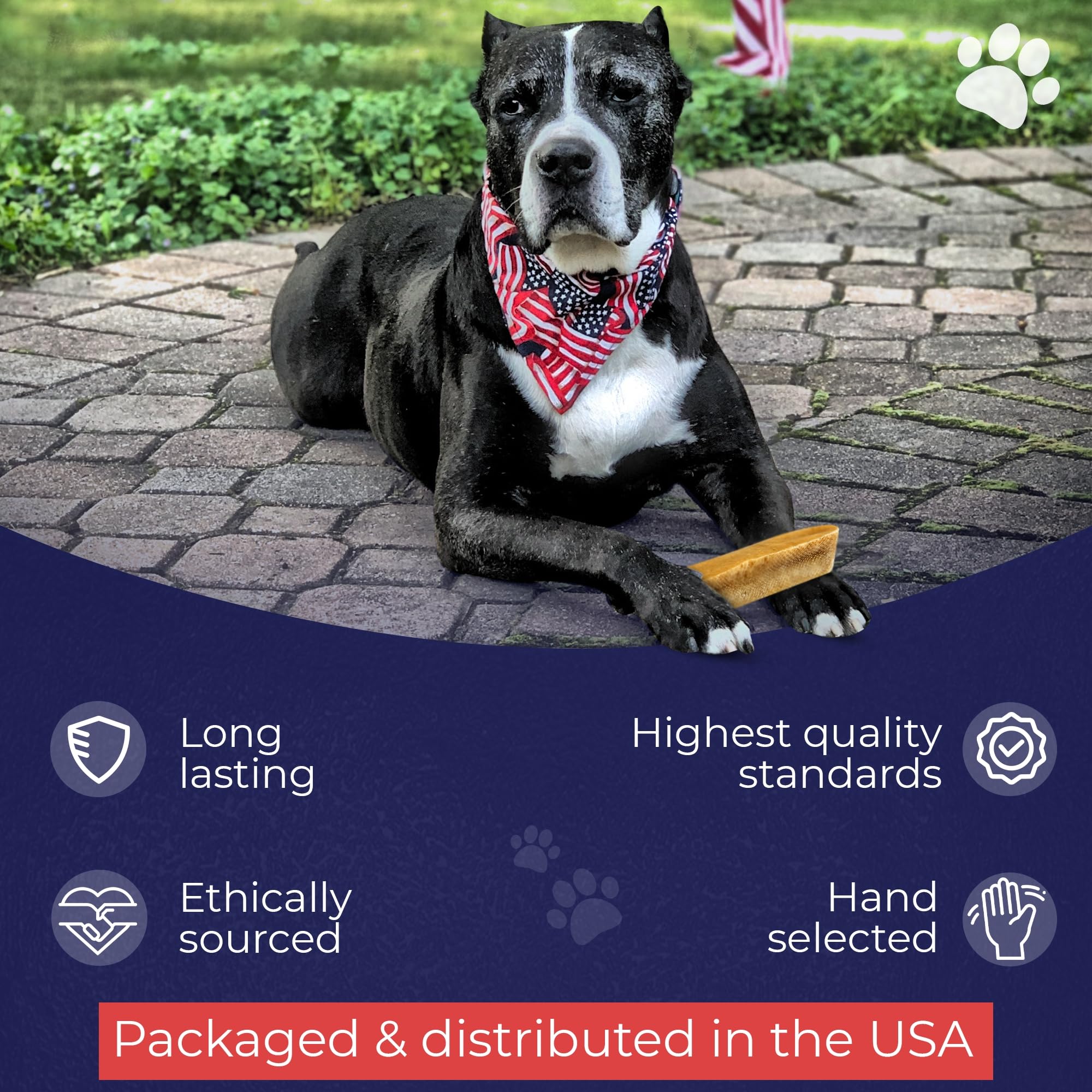 Devil Dog Pet Co natural ingredients list on packaging.