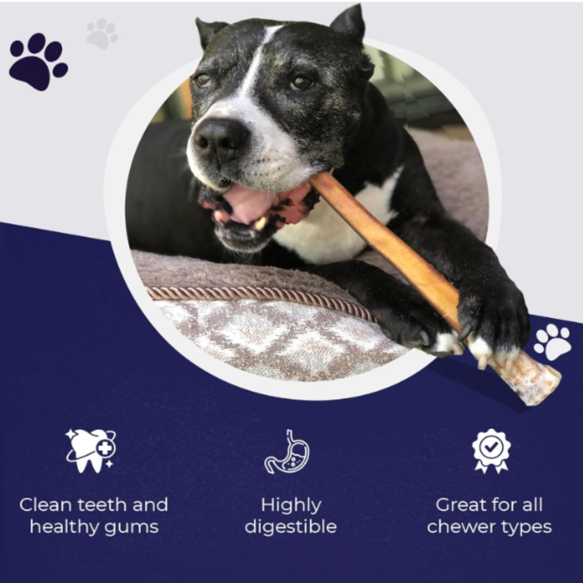 Devil Dog Pet Co extra thick 12 inch chew for aggressive chewers.