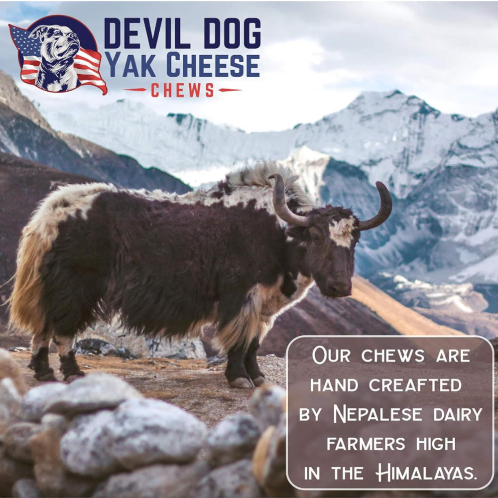 Devil Dog Pet Co veteran-owned brand supporting service dog partnerships.