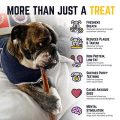 Devil Dog Beef Pizzle Chews 12-inch extra-thick provide durable long-lasting entertainment.