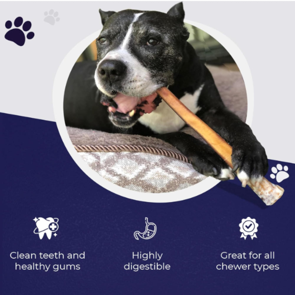 Devil Dog Multi-Dog Household Chews 6-pack keeps rotation stocked.