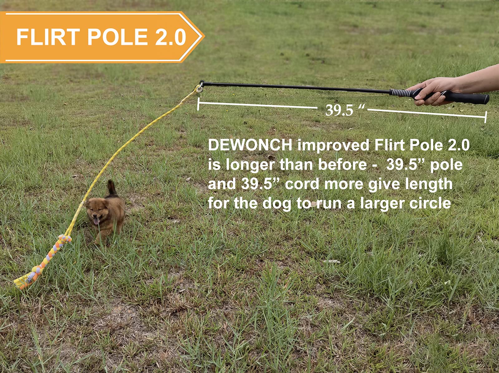 Dewonch Flirt Pole 304 stainless steel core stays sturdy for strong chewers.