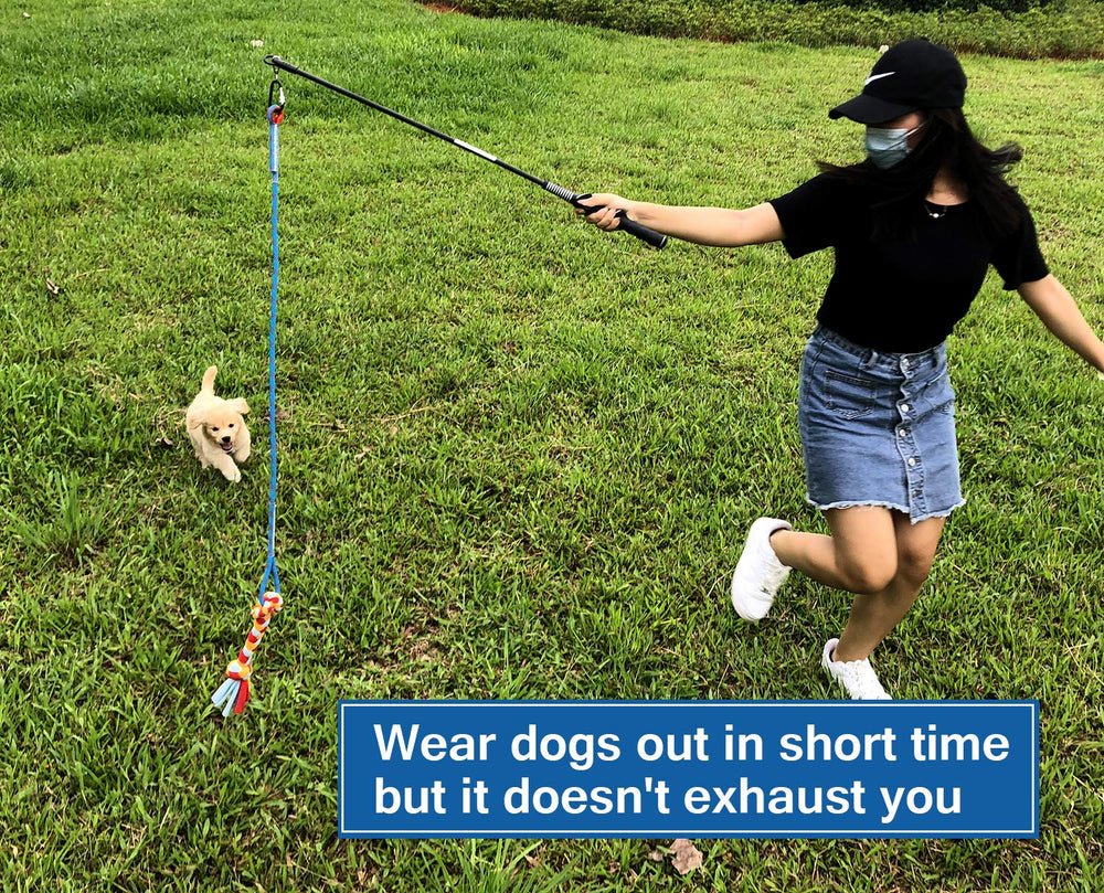Dewonch flirt pole dog red: interactive training and bonding during play