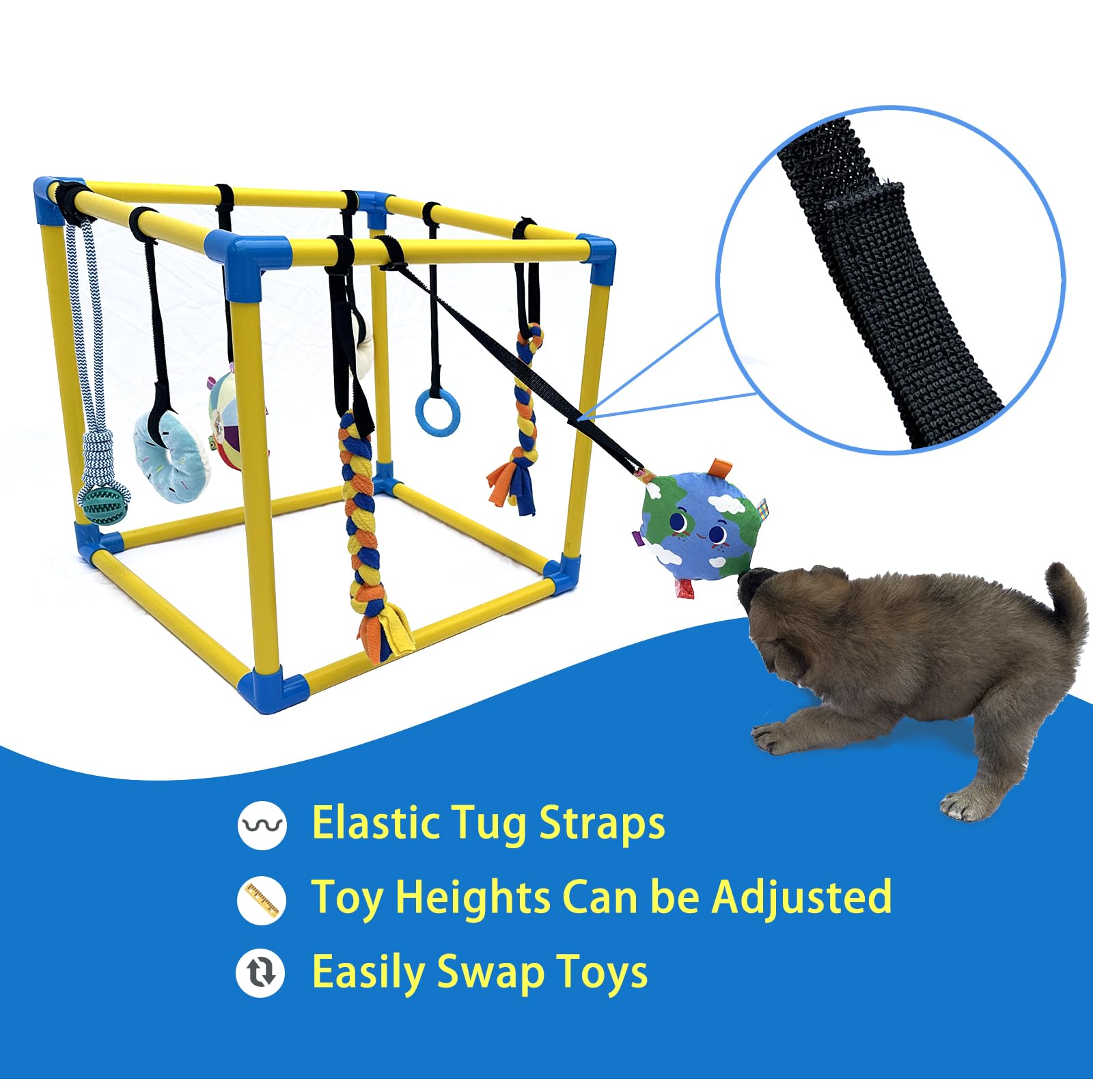 Dewonch play gym shows the bungee suspension in action for safe, interactive paw play.
